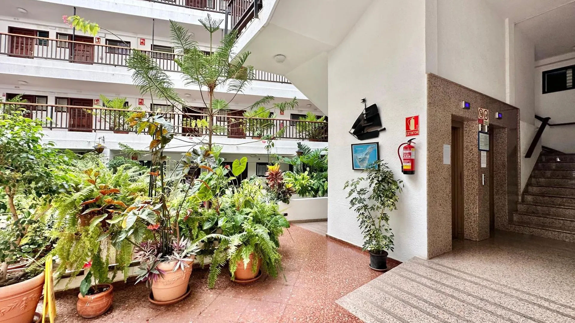 Apartmán Marina El Muelle Puerto de la Cruz  Španělsko
